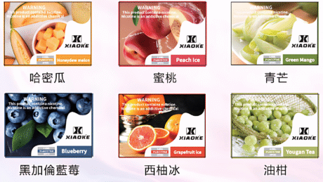 XIAOKE-梟客電子煙彈